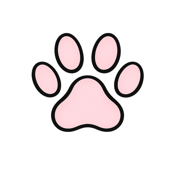 Pet Accessories